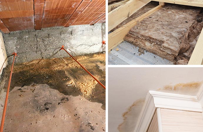 attic water damage in Knoxville