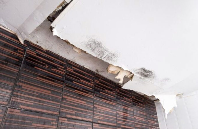 Ceiling Leakage Repair