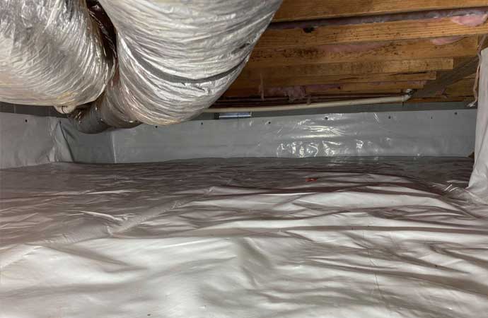 Crawl Space Services