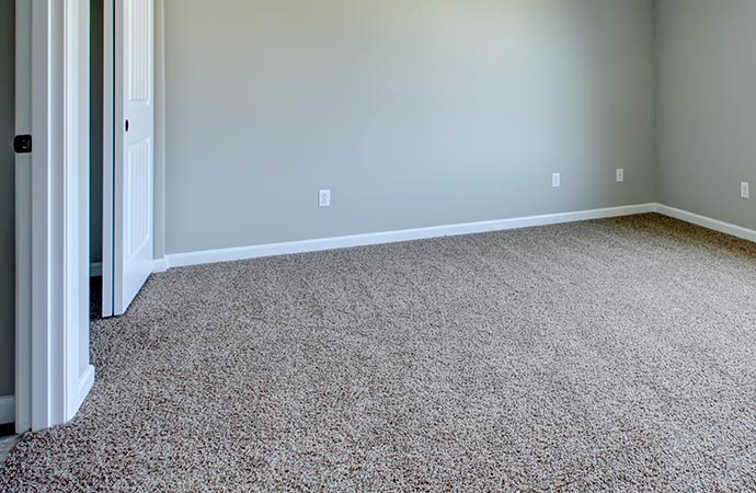 Clean carpet in a well-maintained home.