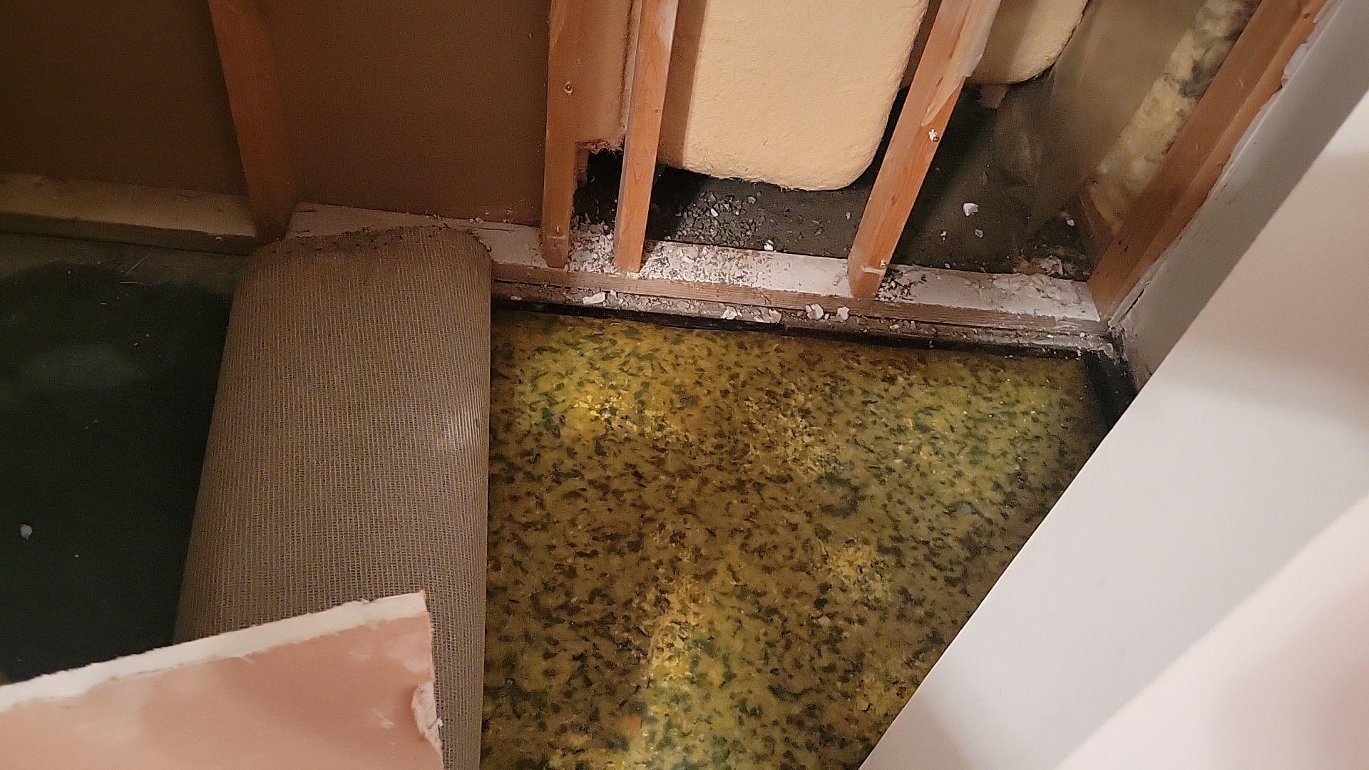 Removing the carpet, padding and drywall