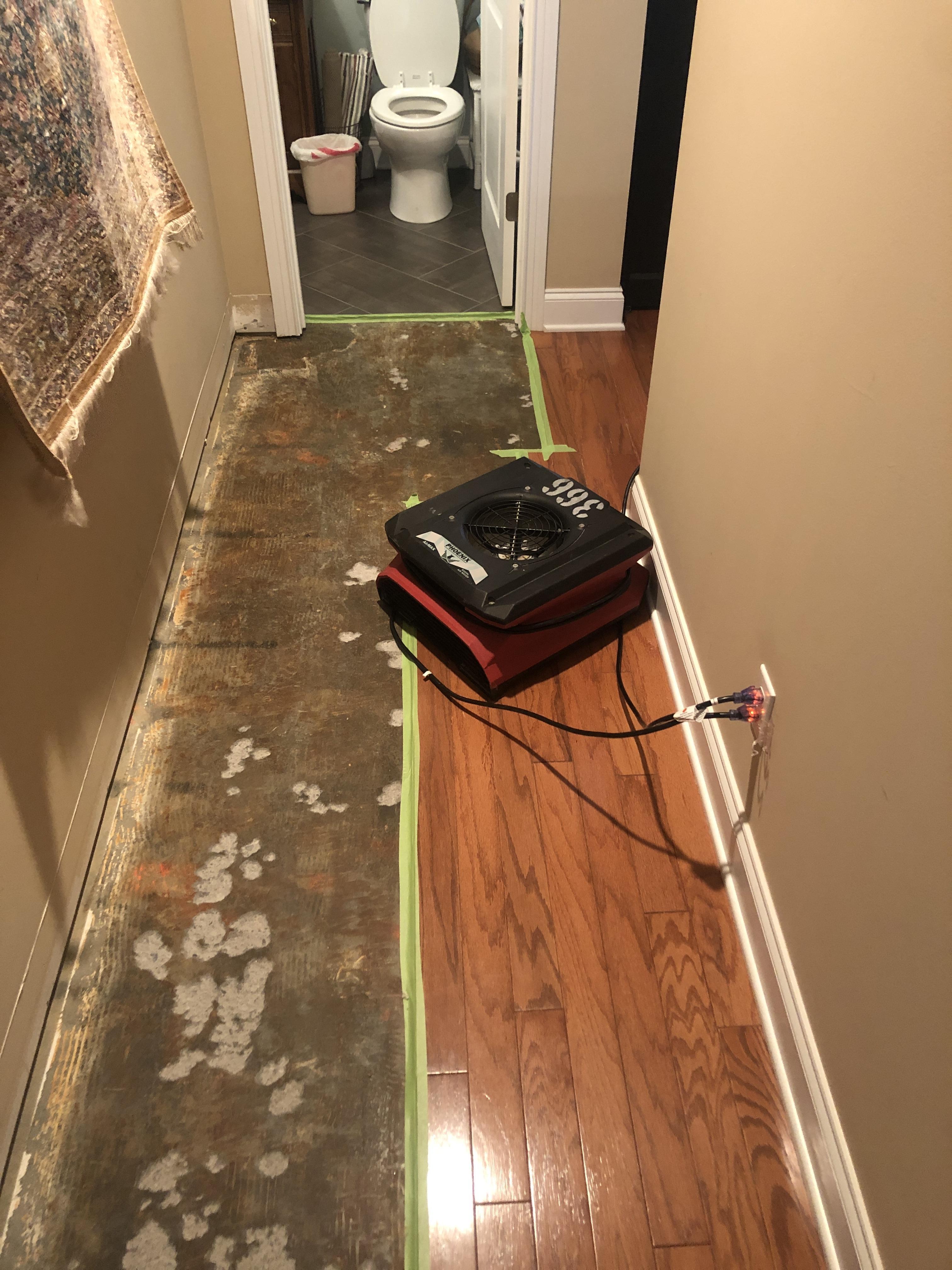 Drying out the flooring to prevent mold
