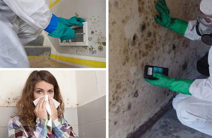 Worker testing mold and woman sick from mold