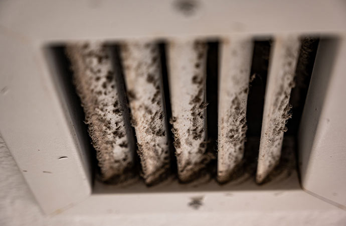Growing mold in air duct system