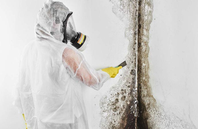 Worker cleaning mold from white wall