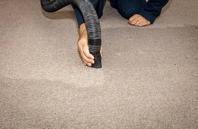 Removing water from a carpet to prevent damage and mold growth.