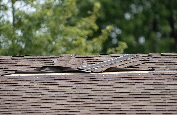 shingles roof damaged