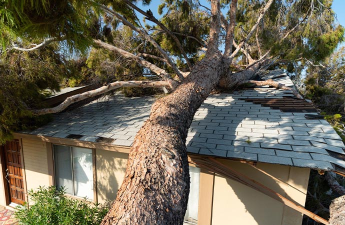 Homes are vulnerable to damage during storms