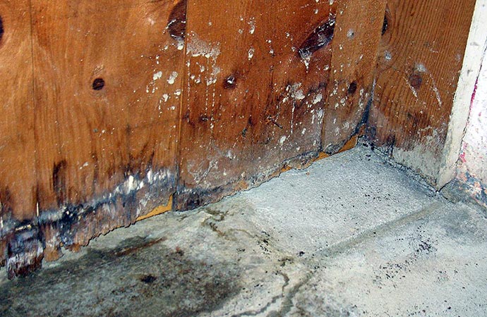 water damage affecting a building's structure.