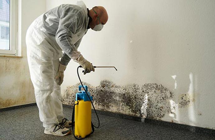 A skilled worker decontaminating mold